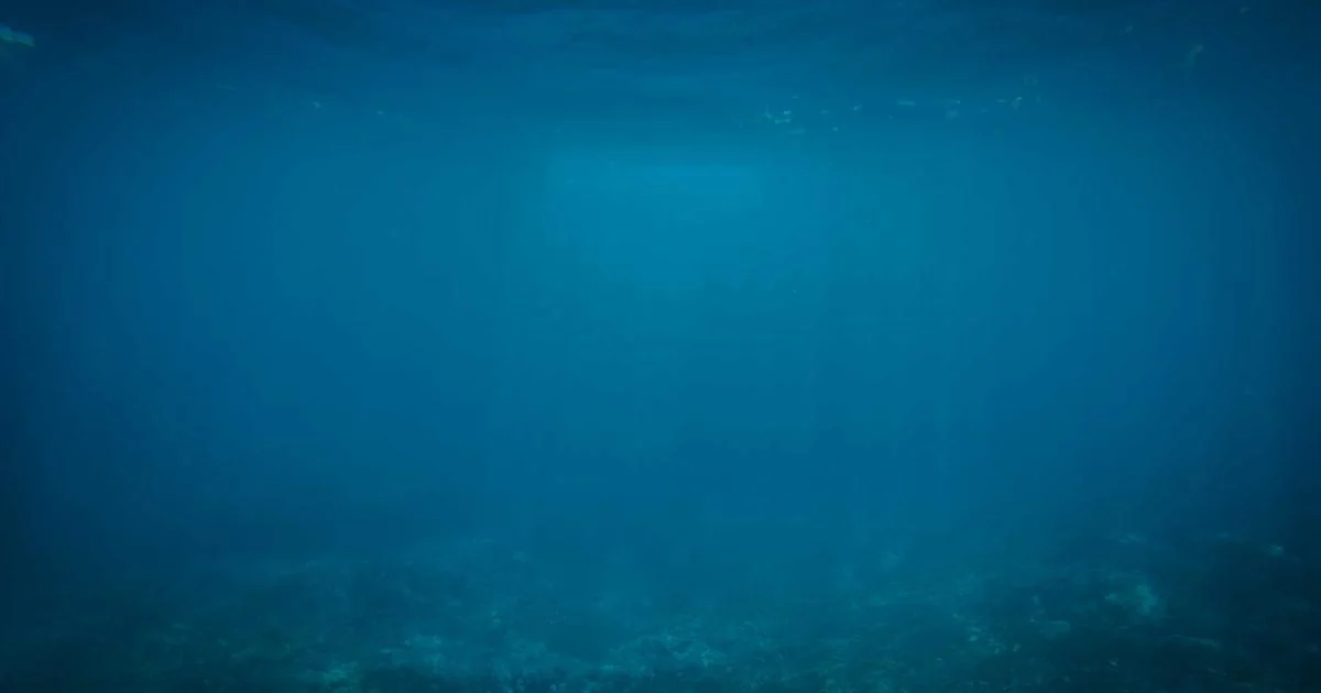 نون - نون